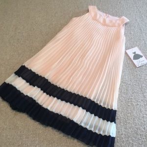 ❤️HP❤️ NWT Rare Editions Blush/ Navy Pleated Dress
